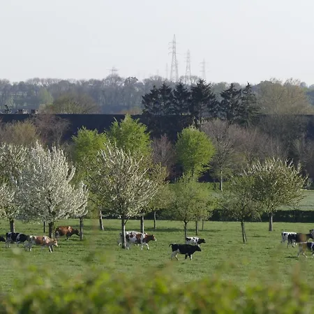 Meschermolen 7 Lägenhet Withuis