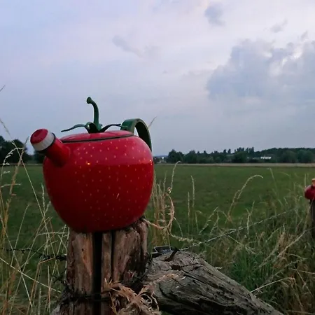 Meschermolen 7 Withuis