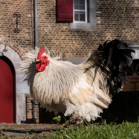 Meschermolen 7 アパート *