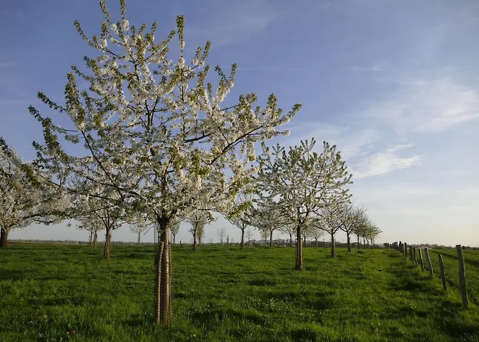 Meschermolen 7 Withuis