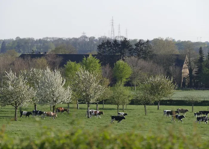 Meschermolen 7 Апартаменты Withuis