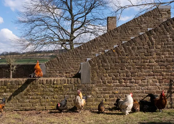 Daire Meschermolen 7 Withuis