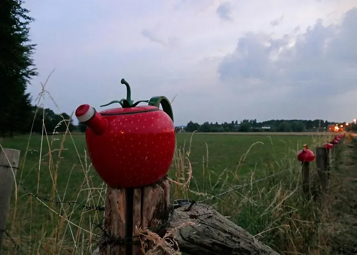 Meschermolen 7 Withuis