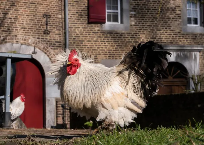 Meschermolen 7 Daire *