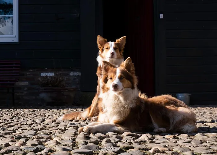 Meschermolen 7 * Withuis