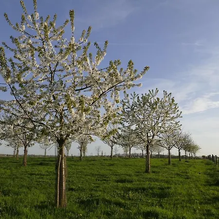 Meschermolen 7 Withuis