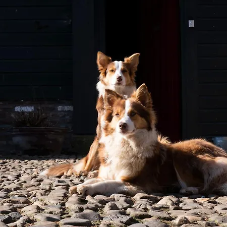 Meschermolen 7 * Withuis